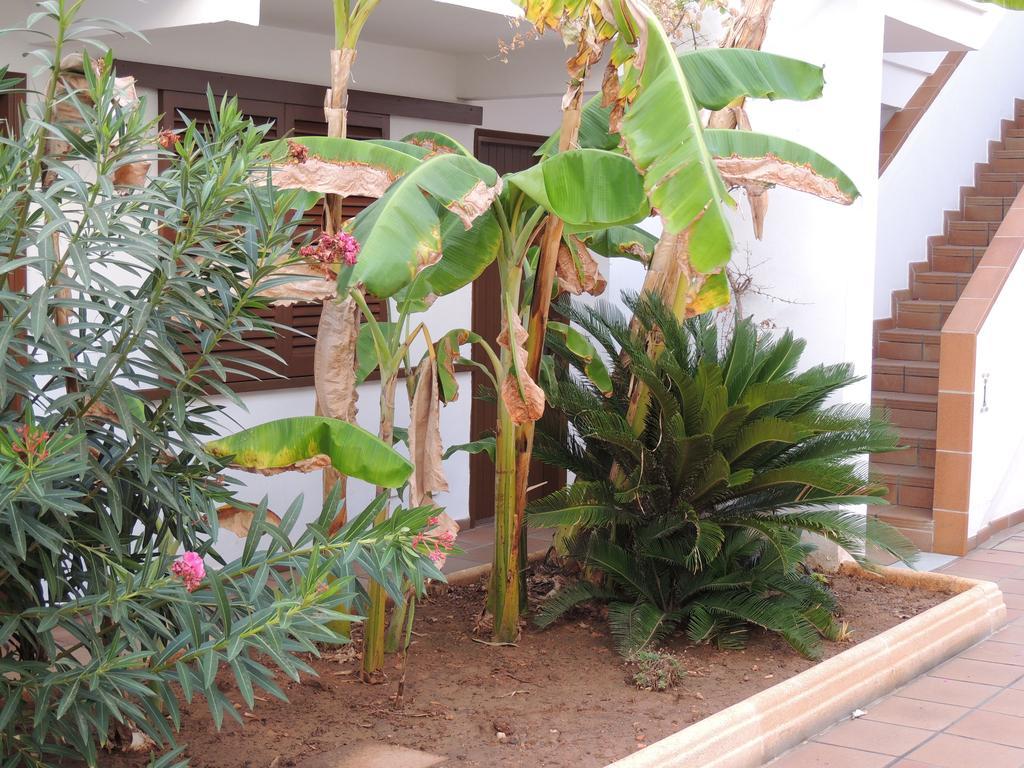 Apartamentos Sal Rossa Ibiza Eksteriør billede